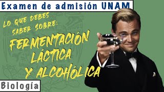 Fermentación Láctica y Alcohólica  Biología UNAM [upl. by Euphemie]