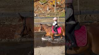 Homemade cross country riding arena🐎💨 shorts horse equestrian [upl. by Inek357]