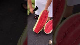 I LOVE THIS WATERMELON 🍉🍉🍉 shortvideo fruitcarving fruitcuting shotrs short watermelon [upl. by Ennayhc]