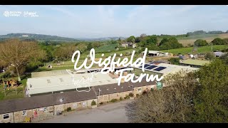 Wigfield Farm24 [upl. by Skipton49]