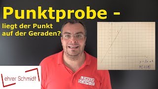 Punktprobe  Liegt der Punkt auf der Geraden  Mathematik  einfach erklärt  Lehrerschmidt [upl. by Tomkiel]