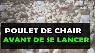 POULET DE CHAIR Ce quil faut savoir avant de se lancer dans cet élevage Budget et Rentabilité [upl. by Ennahtur903]