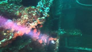 Oriskany Aircraft Carrier Shipwreck Pensacola Florida [upl. by Notlimah]