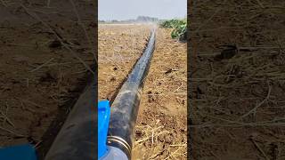 Drip Irrigation Pipe Pipe Agricultural shorts agriculture modernfarmer china cropmanagement [upl. by Adnola130]