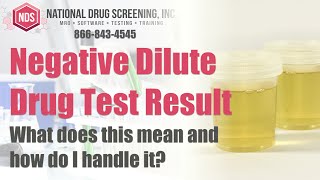 What Is A Negative Dilute Drug Test Result [upl. by Loats750]