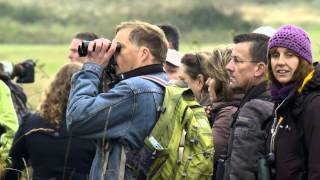 Natuurnieuws Texel oktober 2013 [upl. by Annavoj]