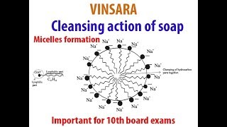 10TH ch4 topic cleansing action of soap Micelle formation [upl. by Halik]