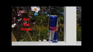 RedBull Ger dig vingar reklam [upl. by Solomon542]