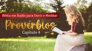 AudioBook  Provérbios  Capítulo 4 [upl. by Ymereg]