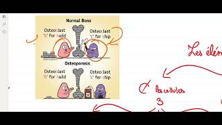 BA LE TISSU OSSEUX  النسيج العضمي Le ostéoblastes Les ostéocytesLes ostéoclastes [upl. by Anilah502]