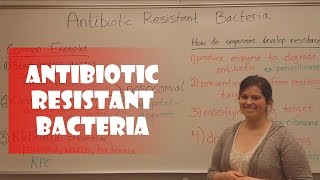 Antibiotic Resistant Bacteria [upl. by Yrrok]