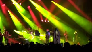 CONCERT TIKEN JAH FAKOLY MUSIQUES METISSES HD 2015 [upl. by Nylidnam730]