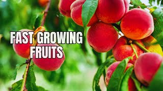 Fast Growing Fruits To Plant [upl. by Revilo]