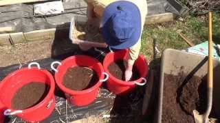 Potato Planting in Tubs [upl. by Onia]