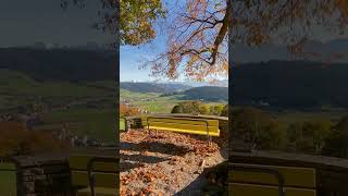 Take a seat 🤩🍁 beautiful Emmental Switzerland Follow and comment for location ☝️ switzerland [upl. by Bicknell]