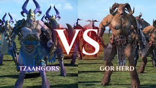 WARHAMMER III Total War  Tzaangors VS Gor Herd [upl. by Gracia]