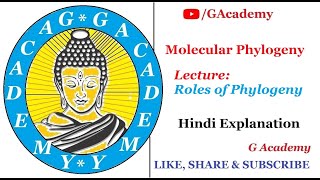 Bioinformatics  Roles of Phylogeny  Molecular Phylogeny  Hindi Explanation  G Academy [upl. by Goldia583]