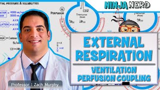 Respiratory  External Respiration Ventilation Perfusion Coupling [upl. by Desireah473]