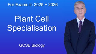 GCSE Biology Revision quotPlant Cell Specialisationquot [upl. by Aniweta]