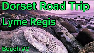 Fossil Hunting Lyme Regis Family Vlog Episode 38 [upl. by Besnard]