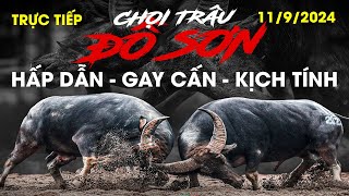 🔴1192024 TRỰC TIẾP CHUNG KẾT CHỌI TRÂU ĐỒ SƠN  ĐỘC ĐÁO  GAY CẤN  KỊCH TÍNH  MÃN NHÃN [upl. by Gilliette]