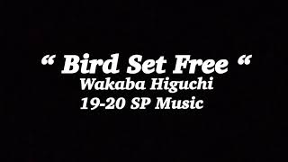 Wakaba Higuchi 1920 SP Music “ Bird Set Free “ [upl. by Maddis294]