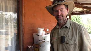 Cooking Yabbies in Australia Ep 35 Yabby cooking [upl. by Etteloc]