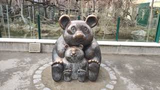 Großer Panda Bär Statue Tiergarten Zoo Schönbrunn I Der schönste Bär der Welt I Giant Bear Meuyùng [upl. by Ydnar185]