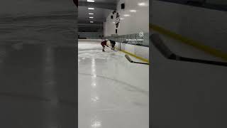 Euro Elite Hockey Development hockey nhl sports icehockey topscorer ahl canada [upl. by Hareenum686]