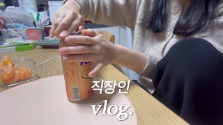 vlog 직장인 브이로그 야근하고 야근하고 야근하고… 주말엔 드라마지 [upl. by Onyx]