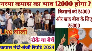 2024 में कपास के भाव में तेजी  आज का नरमा भाव  Kapas ka bhav today  Today narma ka bhav  Cotton [upl. by Araldo]