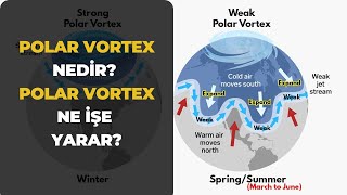 Polar Vortex Nedir Polar Vortex Ne İşe Yarar [upl. by Tichonn]