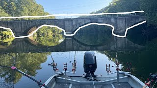 Carp Fishing in Front of a Bridge Summer Carp Fishing [upl. by Rodmann]