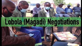 Lobola Magadi negotiations Serumula amp Boshielos Family [upl. by Haidabo985]