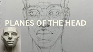 Planes of the head in front view  Asaro method [upl. by Pet]