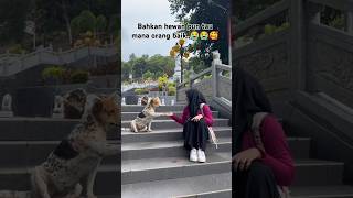 momenharu di tempat wisata‼️‼️wisata perjalanan momenharu viraltiktok inginmemelukdirimu [upl. by Sanalda373]