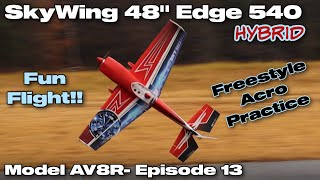 SkyWing 48quot Edge 540 ARF  Model AV8R Fun Flight [upl. by Hayidah]