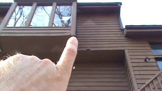 HandyANDY repairs rotted and woodpecker damaged cedar siding in Roswell [upl. by Sitrik]