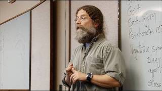 Stanfords Sapolsky on depression and its origin video clip [upl. by Selym]