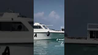 SPEED BOATS IN MALDIVES THOODDOO [upl. by Anovahs]