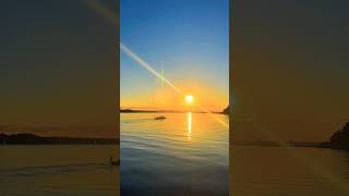 📍Kolding Fjord Denmark 🇩🇰 kolding denmark sunset beautiful youtubeshorts viralvideo dansk [upl. by Sigfrid]