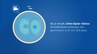 EmbryoScope® How Timelapse Works [upl. by Ealasaid]