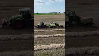 CLAAS XERION 4200 mit KRONE BiGPACK 1290 amp BaleCollect am Quaderballenpressen [upl. by Nive]