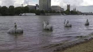 The Rising Tide by Jason deCaires Taylor [upl. by Amelus]