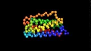 25 GroEL  GroES System  HSP 60  HSP 10 System  Chaperonin Assisted Protein Folding [upl. by Goulden]