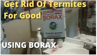 How To Get Rid Of Termites For Good Using Borax  Best Solution Do It Yourself [upl. by Haymo324]