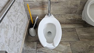 TR 61 Why Does The 35 Gallon American Standard Madera Toilet Feel Lackluster [upl. by Nonac]