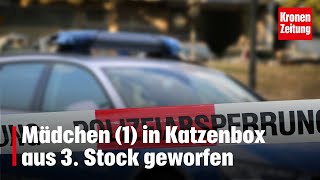 Mutter unter Verdacht Mädchen in Katzenbox aus 3 Stock geworfen  kronetv NEWS [upl. by Forester]