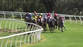 Goondiwindi 20231202 Race 3 [upl. by Nryhtak938]