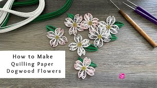 How to Make Quilling Paper Dogwood Flowers  Quilling for Beginners [upl. by Voss303]